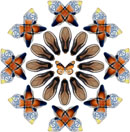 c